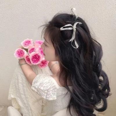 伟大的抗美援朝 海报