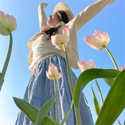 台上人家 海报